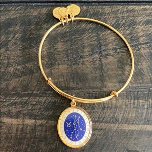 4/$20 ALEX AND ANI Taurus